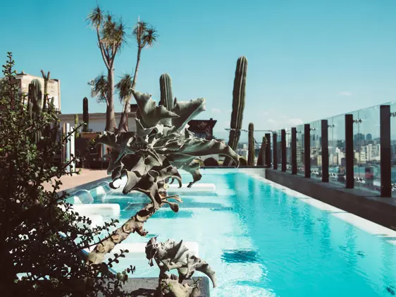 Rooftop Sky Pool ROMEO Hotel Naples Pool & Bonsai New